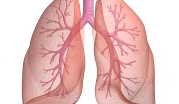 Científicos europeos crean chaleco para controlar pulmones con EPOC