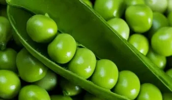 Guisantes: La pequeña gran legumbre contra el cáncer