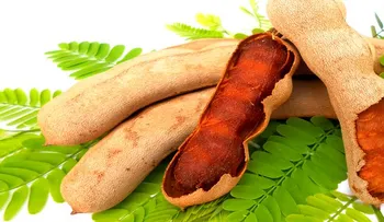 El consumo de tamarindo te hace perder peso, alivia la resata, mejora tu cabello y uñas