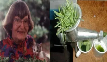 Con 80 años, la doctora Wigmore no tiene nada de canas: conoce cuál es su secreto