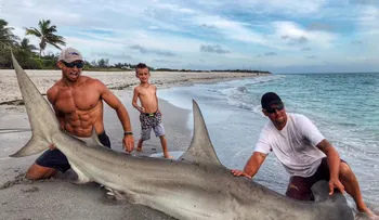 La foto de un inmenso tiburón martillo se volvió viral, pero no por lo que todos creen