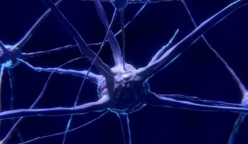 Los cerebros de las mujeres son más activos que los de los hombres, según nuevo estudio