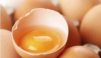 ¿Los huevos aumentan el colesterol?