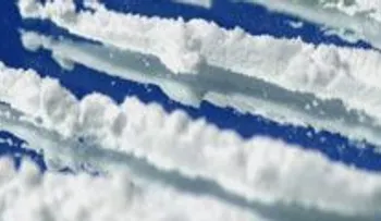 Caen redes hispanas de tráfico de drogas