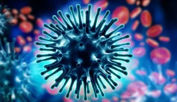 Descubren dos nuevos virus gigantes capaces de ensamblar proteínas