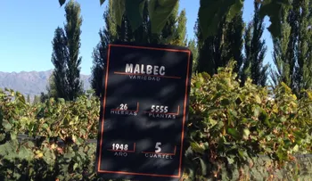 El poder de una uva