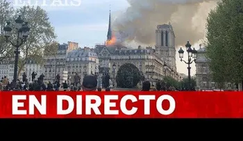 Así fue el derrumbe de la aguja de la torre de la catedral de Notre Dame en París