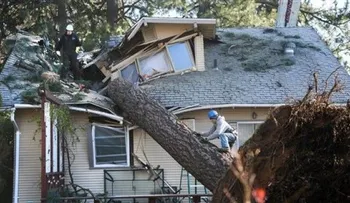 Tormentas dejan sin luz a miles de personas en Washington