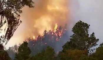 Evacuan familias por fuegos que afectan a Constanza