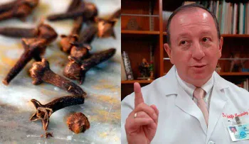 Nunca más vuelvo a creer en médicos: Te ocultan estos beneficios del clavo dulce para que no lo uses. Compártelo!!