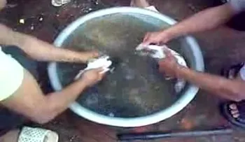 Video"Un chino captado cocinando ratones