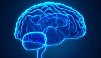 Ondas cerebrales se sincronizan cuando personas hablan lenguas extranjeras