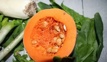 El mejor remedio para el colesterol, glucosa, lípidos y triglicéridos 