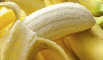 Comer un plátano diario ayuda a prevenir hipertensión