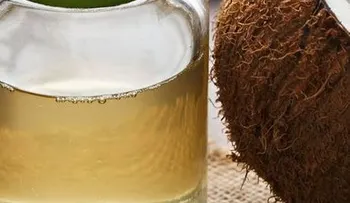 Científicos filipinos aseguran que el aceite de coco destruye el virus de covid-19