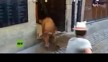 Una vaca atemoriza clientes de una cafetería en España 