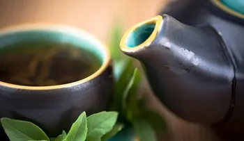 Beneficios de la Stevia como edulcorante natural