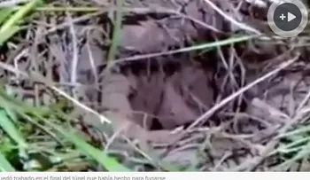Dos presos quisieron imitar el Chapo, pero uno quedó atorado en el túnel 