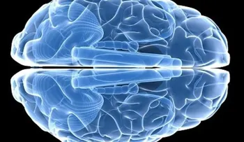 La deficiencia de vitamina E puede dañar el cerebro