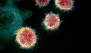 El coronavirus sería frenado en el verano por los mortales rayos solares, según un nuevo estudio