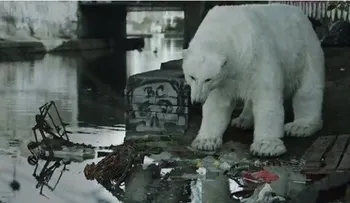 Video: ¡Agua, por fin! o cómo hacer feliz a un oso polar
