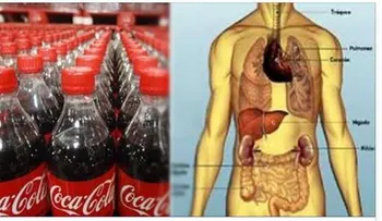 Nunca más beberás Coca-Cola cuando conozca como te mata sigilosamente.