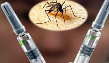  La protección contra el dengue puede funcionar igual para el zika 
