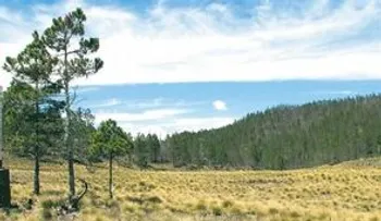TSA se reserva hasta el miércoles, fallo de medida cautelar para retiro ocupantes de Valle Nuevo
