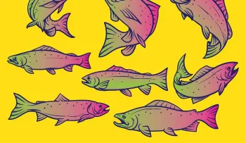 Anota estos 10 peces contaminados que NUNCA deberías comer