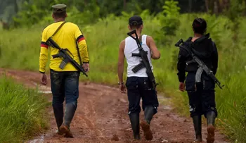Disidentes de las FARC podrían someterse a la justicia con beneficios