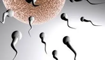 El aumento de peso de los hombres le disminuye calidad del esperma 