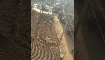 Un hombre salta desde el techo para evitar ser atacado por un leopardo