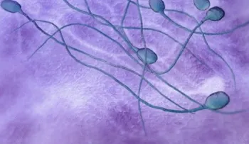 Factores que debilitan la calidad del semen