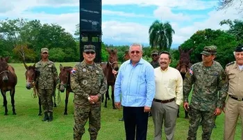 CEA entrega al Ejército animales equinos