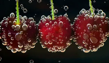 El consumo errado de estas deliciosas frutas puede llevarte a la muerte 