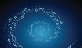 Descubren un nuevo método anticonceptivo sin hormonas y reversible