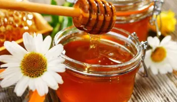 7 usos poco conocidos de la miel de abeja