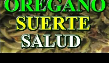Los secretos revelados del orégano para la buena suerte y la salud 