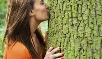 ¿Qué es la dendrofilia?