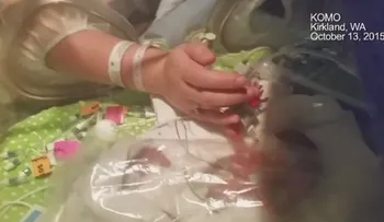 Gemelos idénticos podrían nacer con meses de diferencia