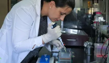 Descubren un freno interno en el virus del dengue