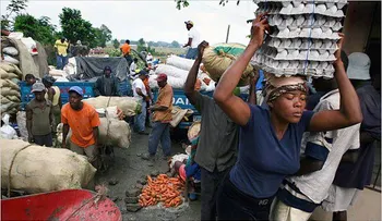 Además de los pollos y huevos, Haití prohibirá importación de materiales plásticos desde la República Dominicana