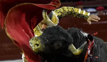 Reviven las corridas de toros en Bogotá; Colombia, entre los ocho países donde aún es legal la tauromaquia