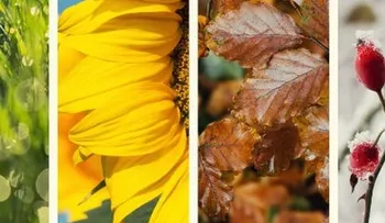 Dime en cual estación naciste y te diré qué temperamento tienes