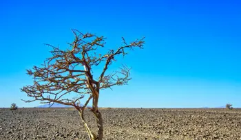 El Niño activo en 2026 amenaza con sequías y presión inflacionaria en República Dominicana
