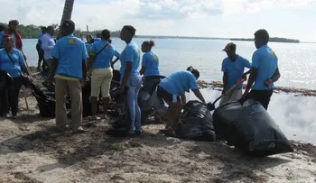 Retiran más de 100 camiones de algas de playas y litorales costeros de RD