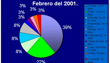 Los niños y adolescentes delincuentes: ¿qué hacer?