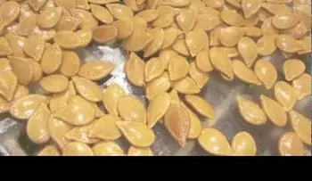 Semillas de auyama (calabaza) para acabar con los parásitos intestinales 