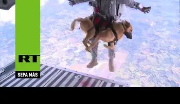 Perros paracaidistas de la Fuerza Aérea de Colombia (VIDEO)