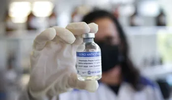 Investigadores desarrollan suero contra covid a través del plasma de caballos
